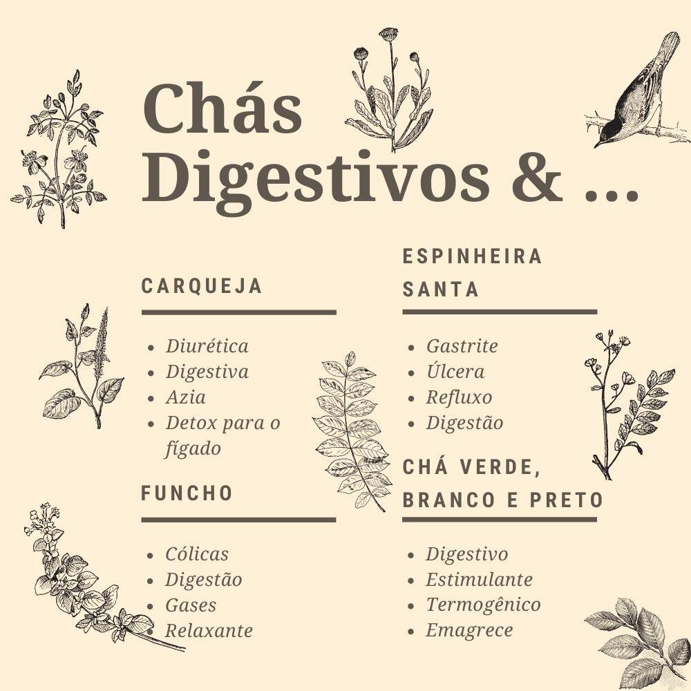 erros ao tomar cha de carqueja