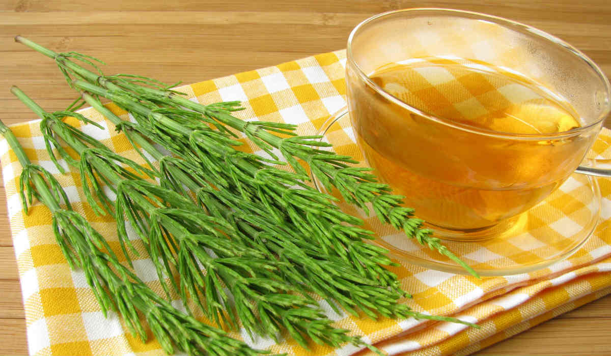 melhores chás para desinchar o corpo rápido