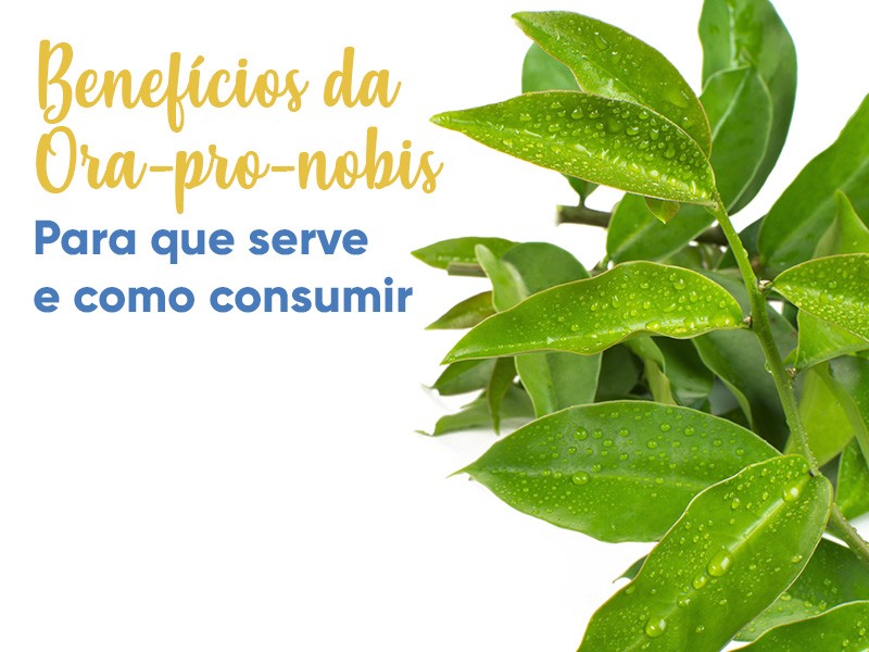 erros ao preparar cha de ora pro nobis