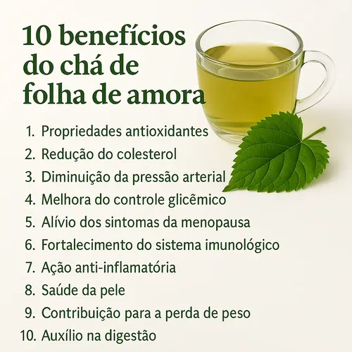 erros ao tomar cha de folha de amora