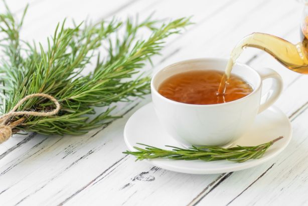 erros comuns ao fazer chá de alecrim