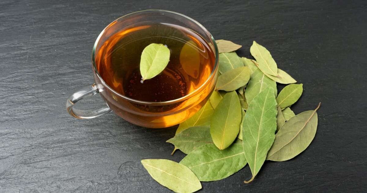 lista completa de benefícios do chá de louro para saúde