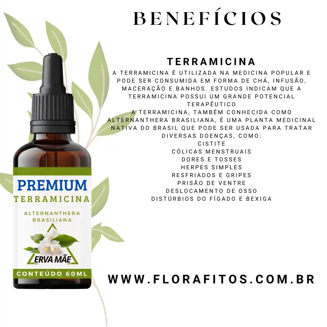 erros comuns ao usar cha terramicina