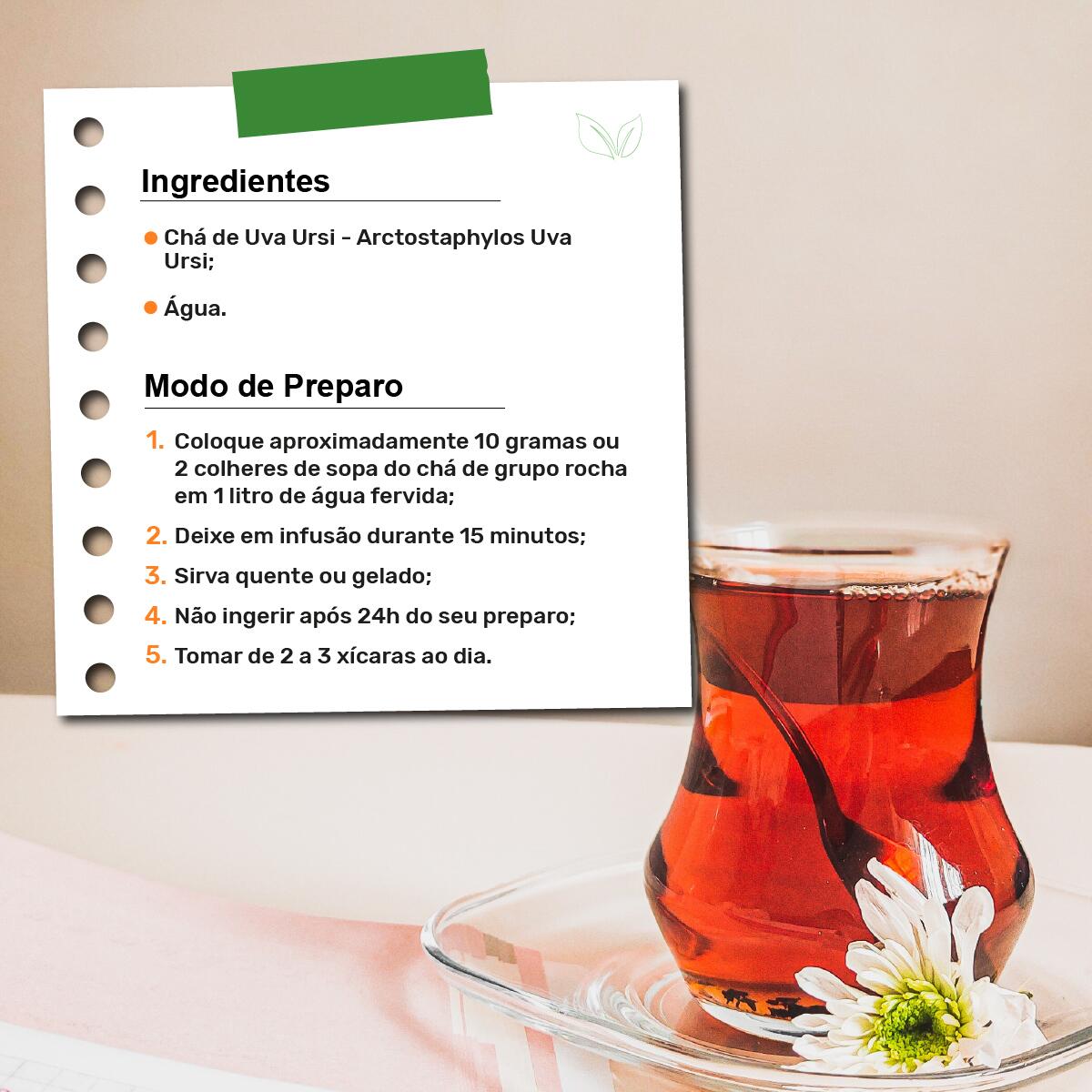 beneficios do cha uva ursi