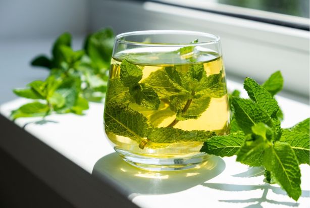 cha de hortela bom para refluxo