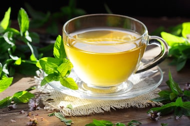 cha de hortela contra indicacao