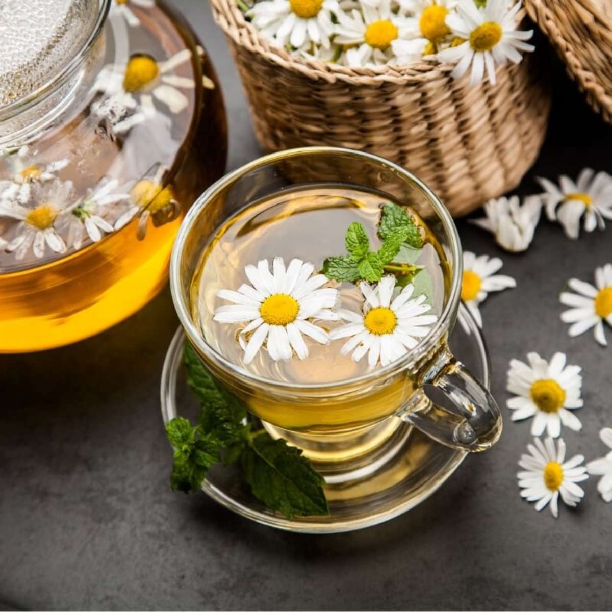 erros comuns ao fazer chá de camomila