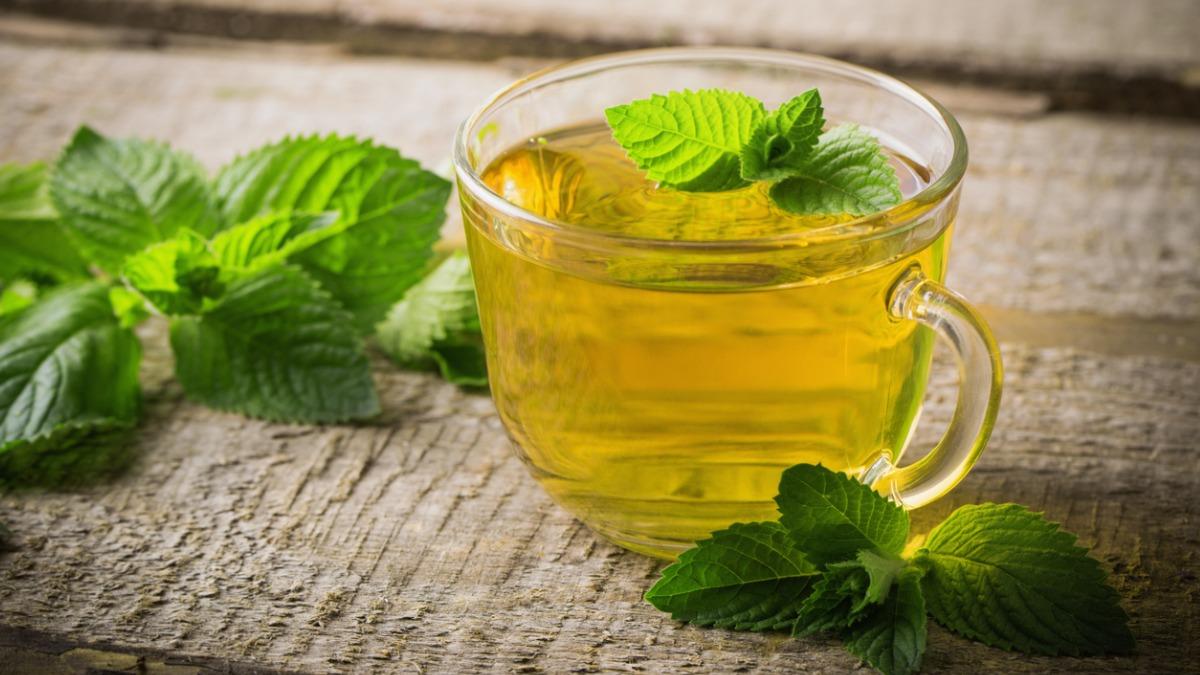 peppermint tea vs mint tea qual a diferença
