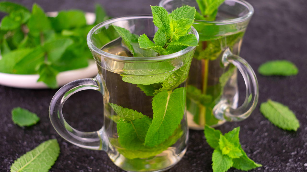 chá de hortelã vs chá de guaco para expectoração