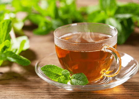 cha de hortela origem