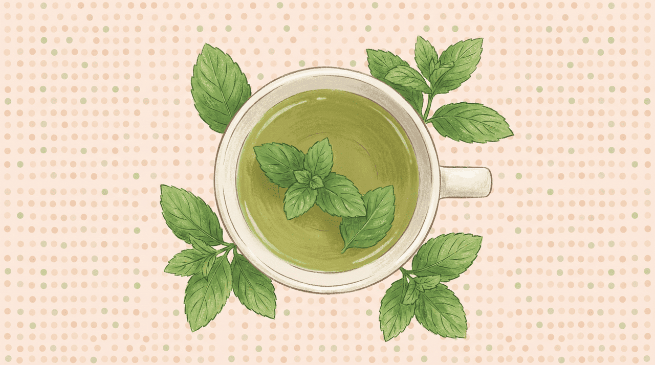 cha de hortela regula hormonios