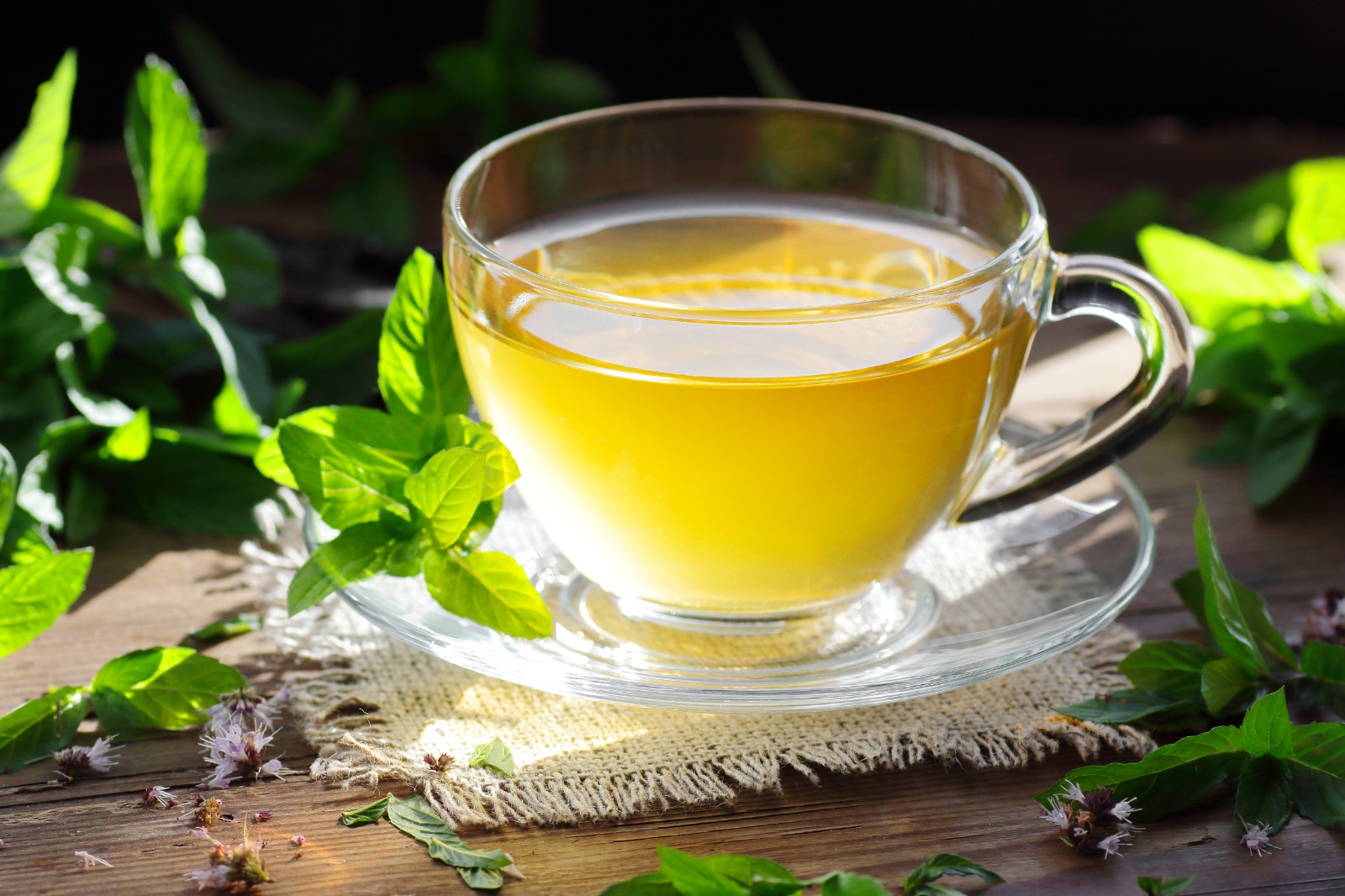 efeitos colaterais cha de hortela hormonio