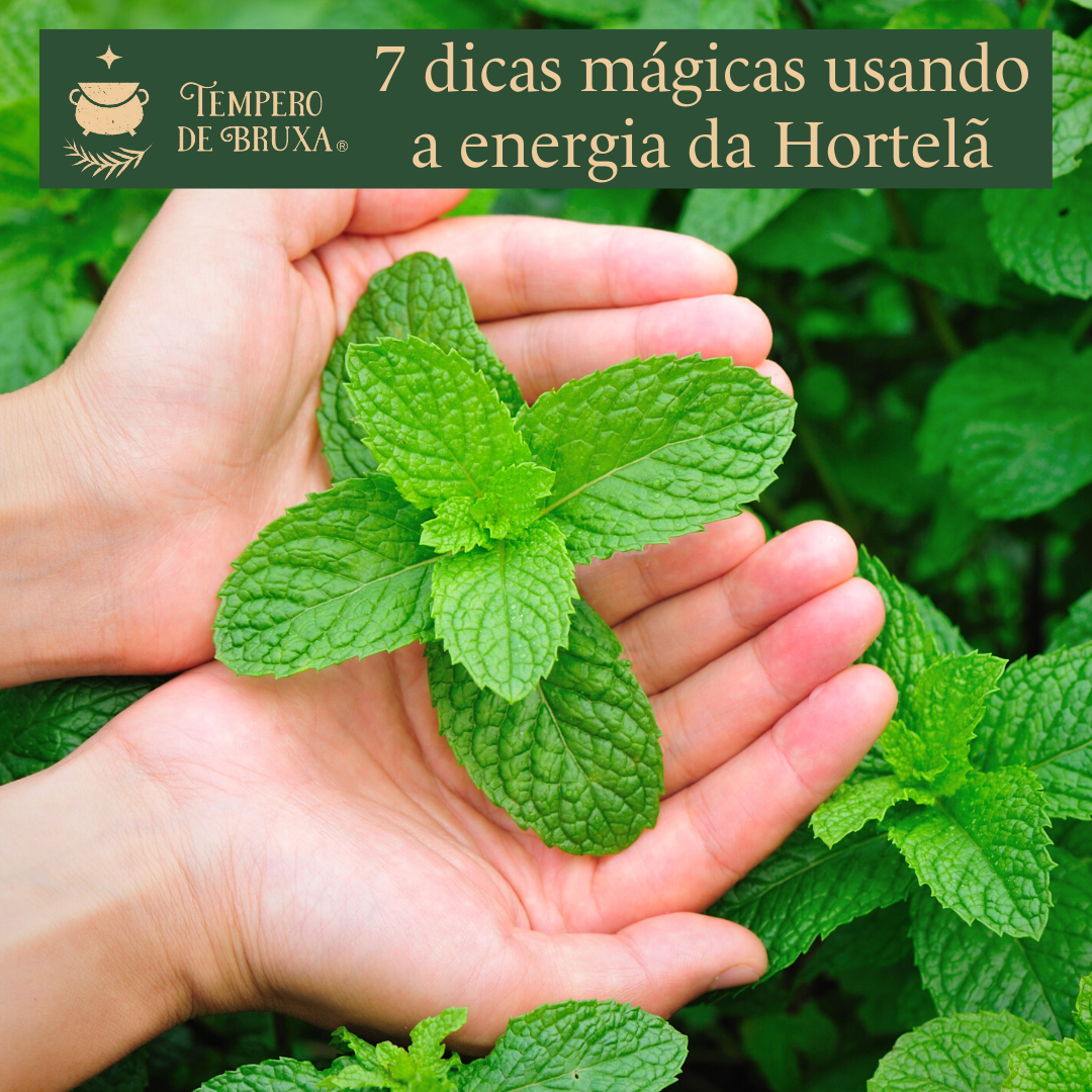 erros comuns ao usar chá de hortelã para limpeza espiritual