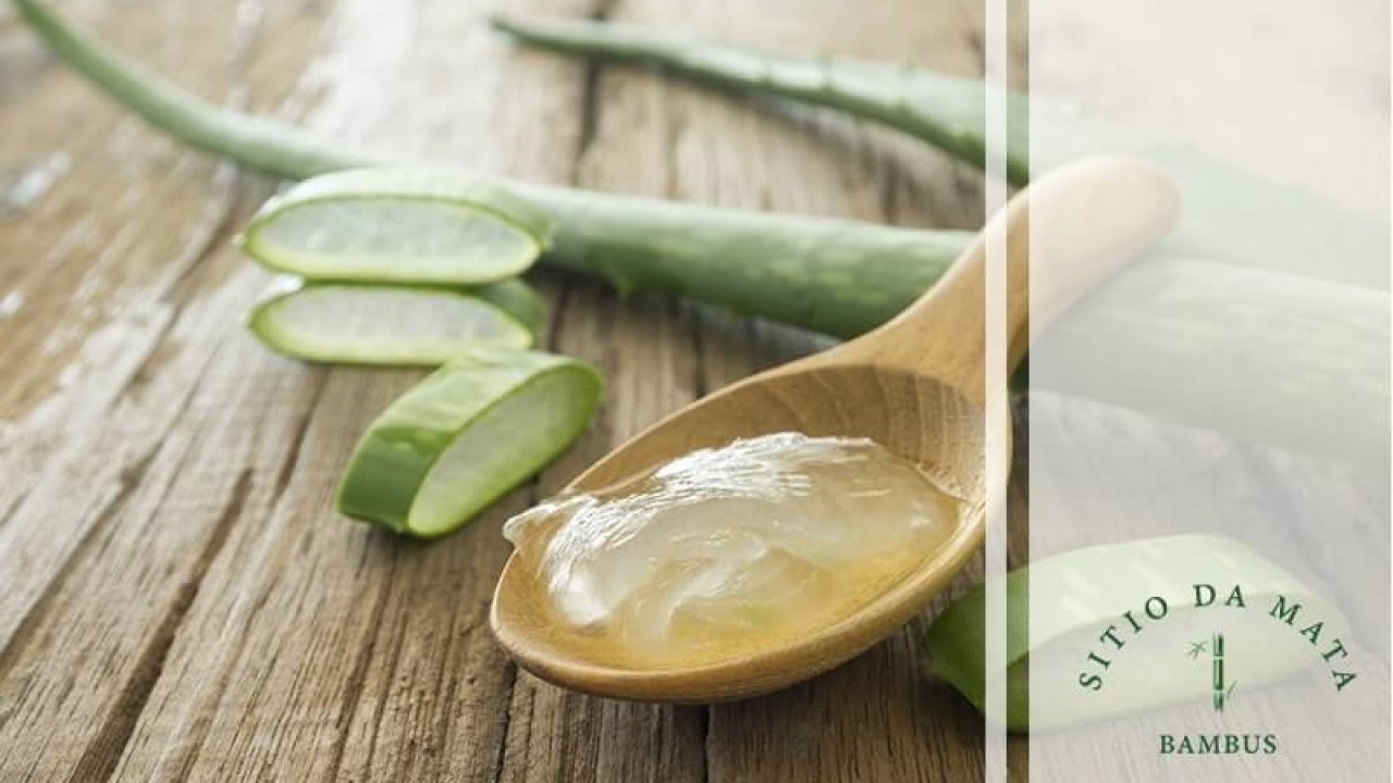 erros ao usar chá para cicatrizar cirurgia