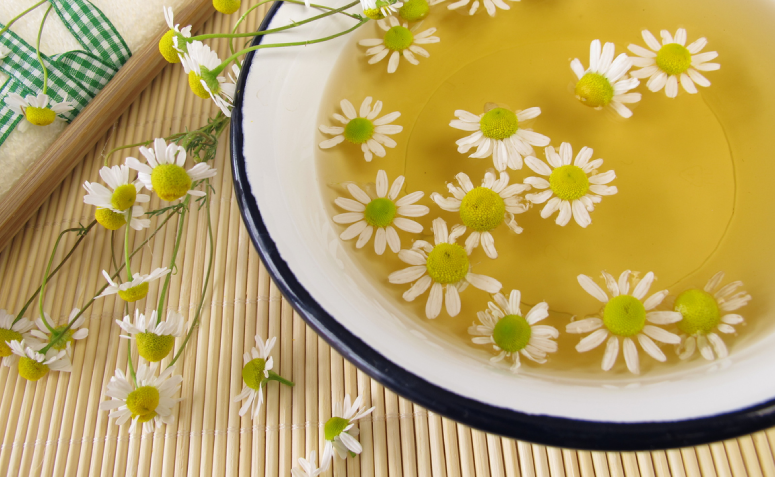 melhores chás para corrimento amarelo
