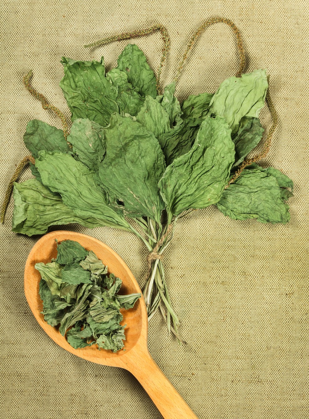 erros comuns ao tratar corrimento amarelo com chás