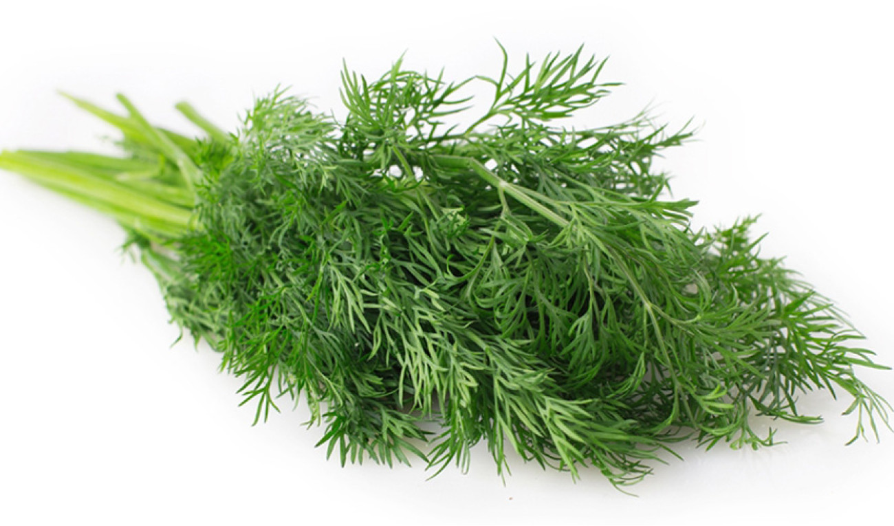 erros comuns ao fazer chá de funcho