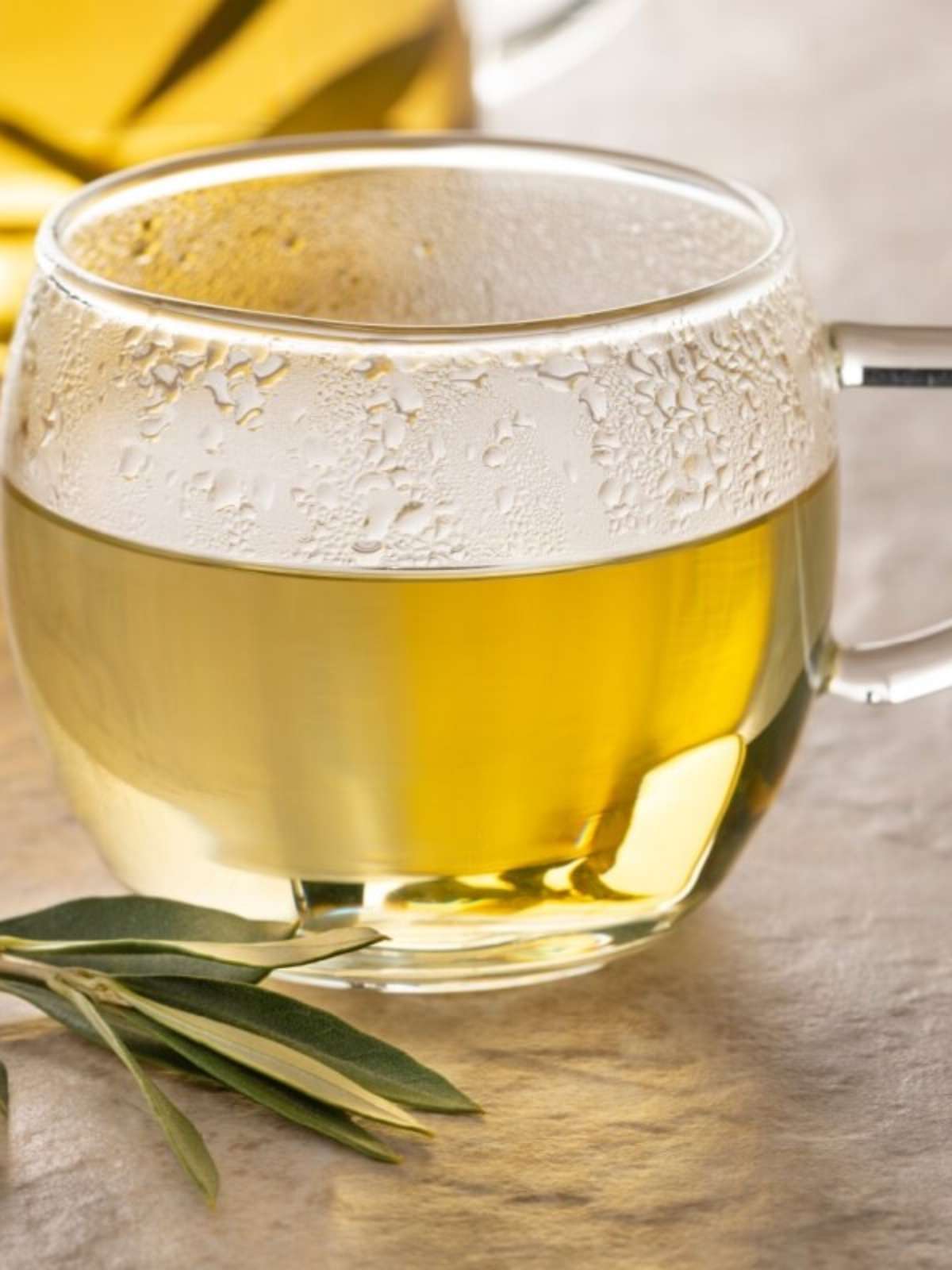 oliveira cha para que serve