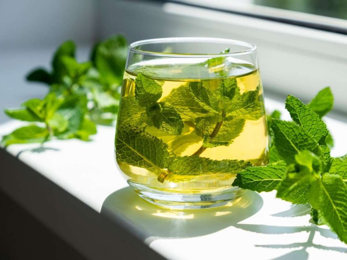 cha de hortela faz mal para quem tem refluxo