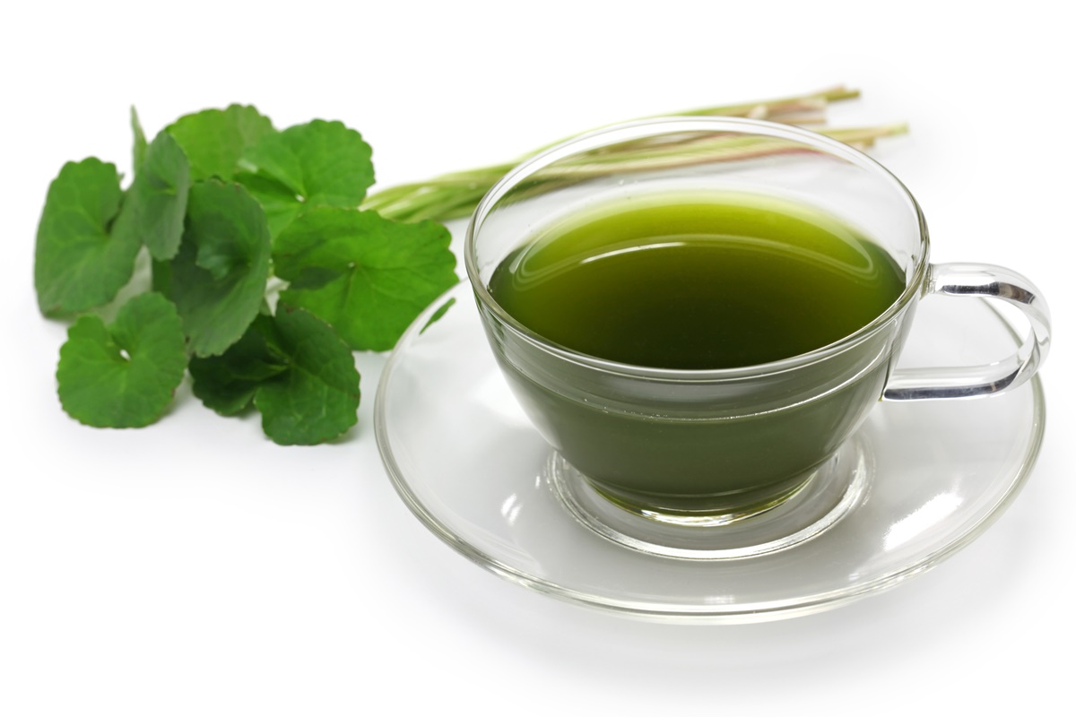 chá de ginkgo biloba vs chá de castanha da índia para circulação