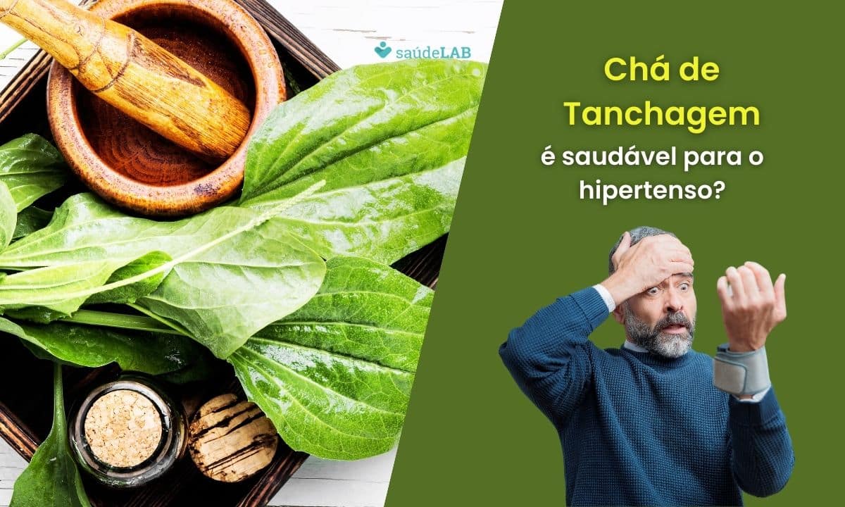 melhores chás para baixar pressão alta