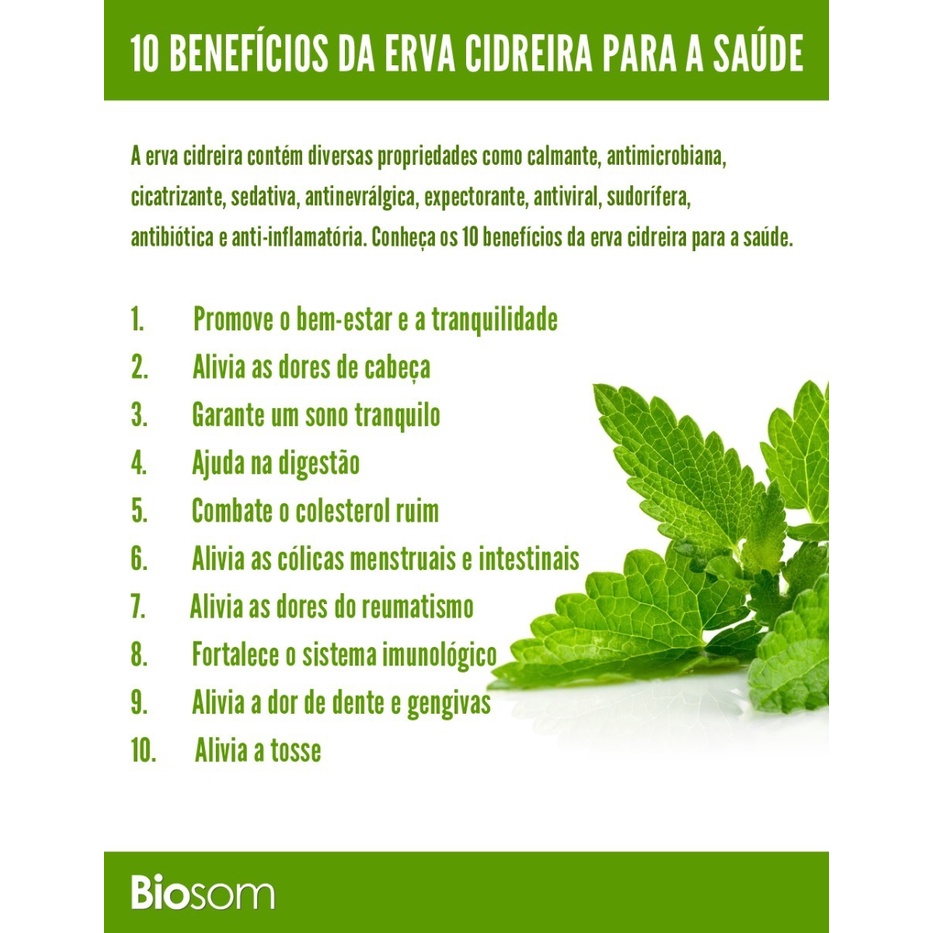 Chá de capim santo para ansiedade
