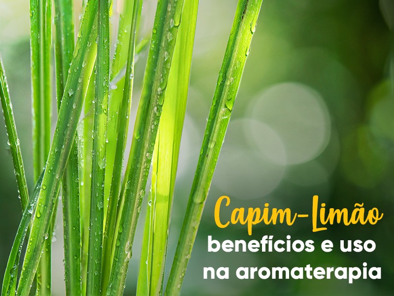 Benefícios digestivos capim cidreira