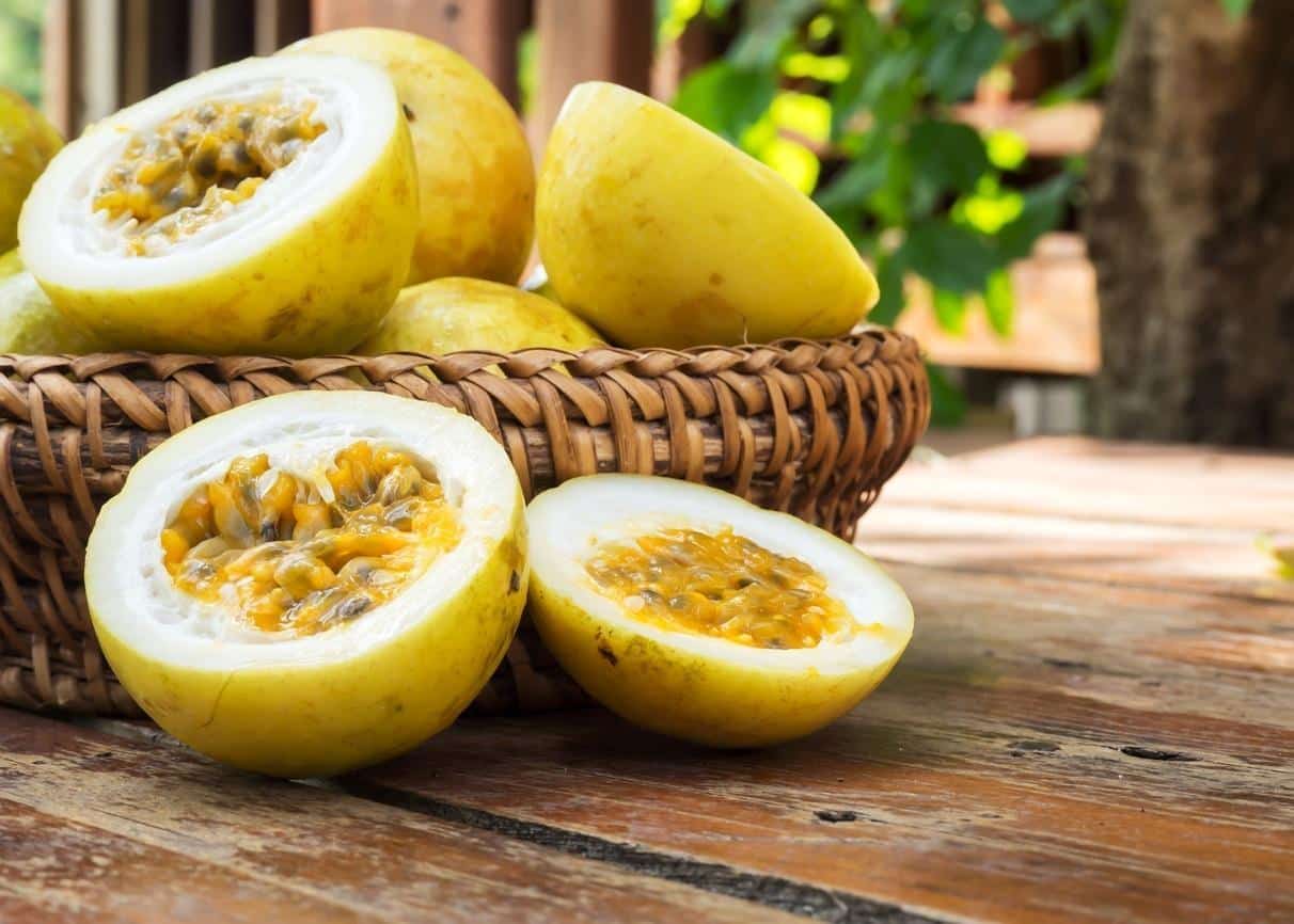 passiflora benefícios chá