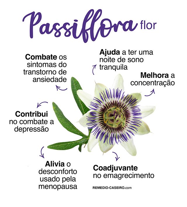 chá de maracujá para pressão baixa