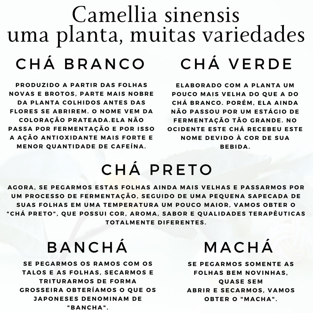 chá preto para ansiedade