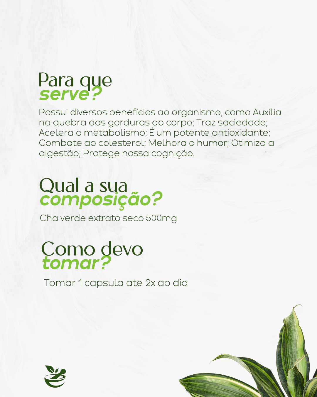 chá verde para emagrecer