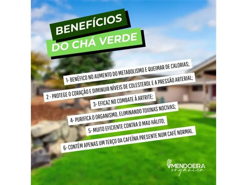 chá verde e diabetes
