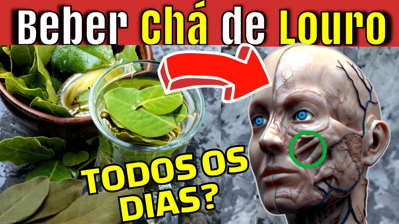 cha de louro propriedades