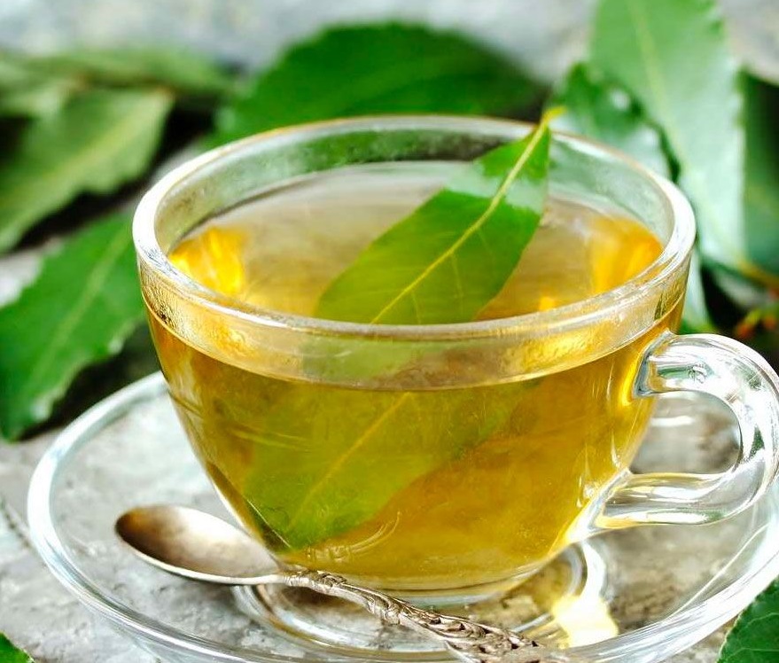 beneficios Laurus nobilis