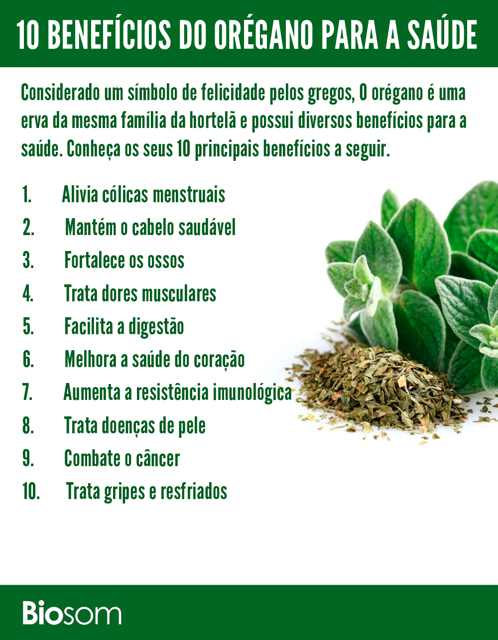 como fazer chá de orégano