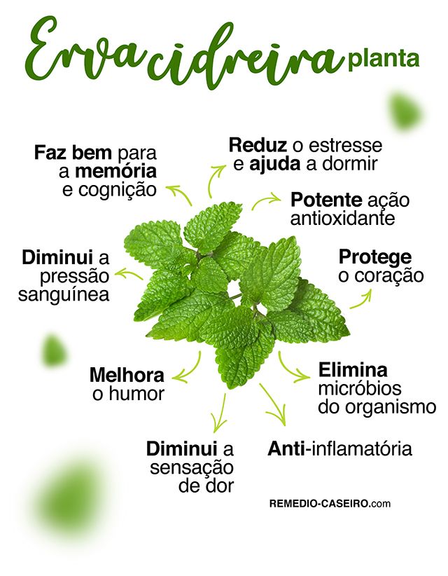 benefícios da melissa officinalis