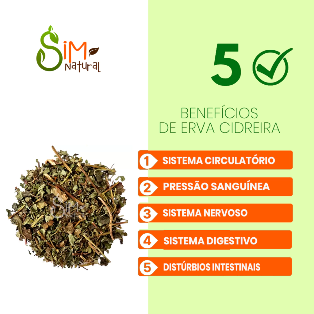 benefícios da melissa officinalis