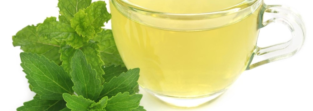 benefícios da melissa officinalis