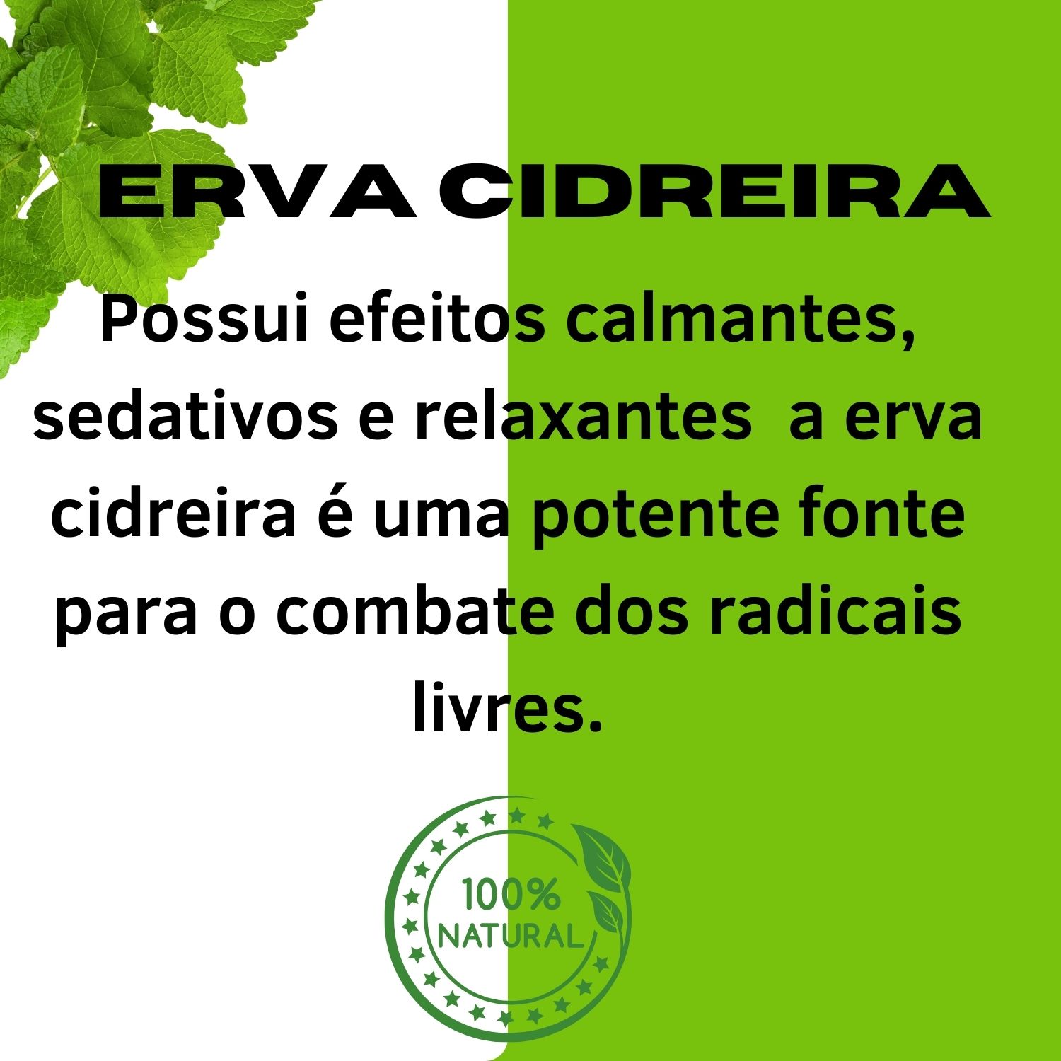propriedades calmantes da erva cidreira