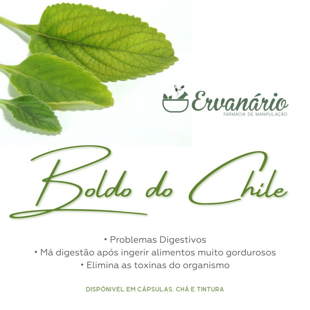 cha de boldo para ressaca