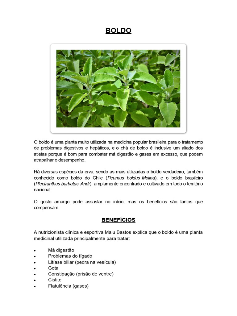 cha de boldo para ressaca
