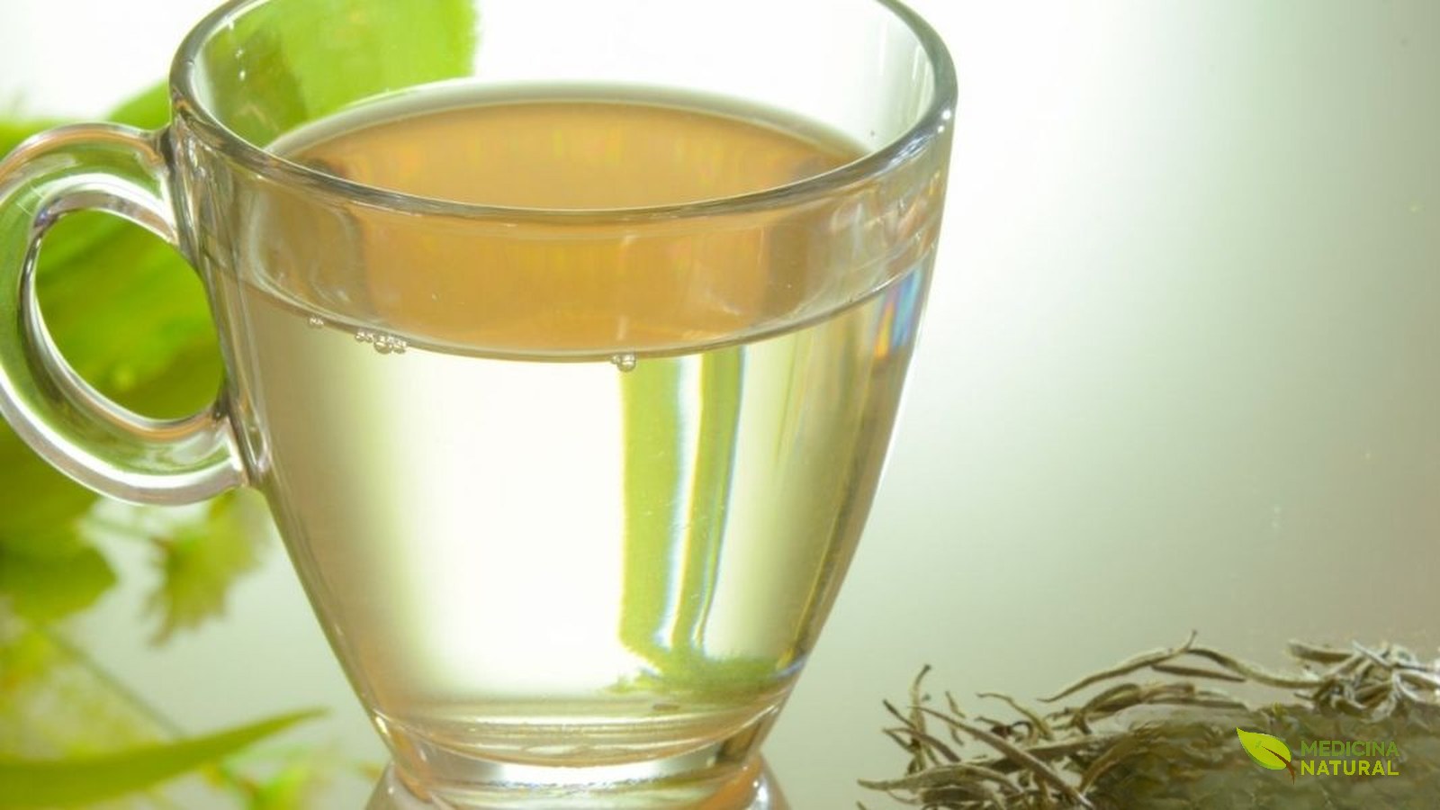 chá branco antioxidante
