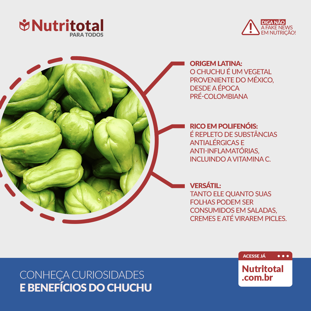 chá de chuchu para diabetes