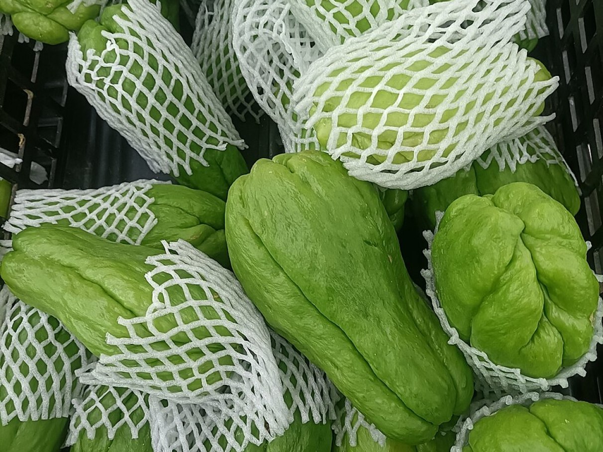 chá de chuchu para desinchar