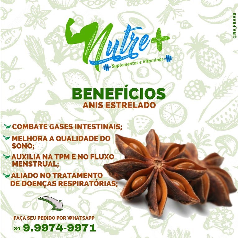 anis estrelado benefícios digestão
