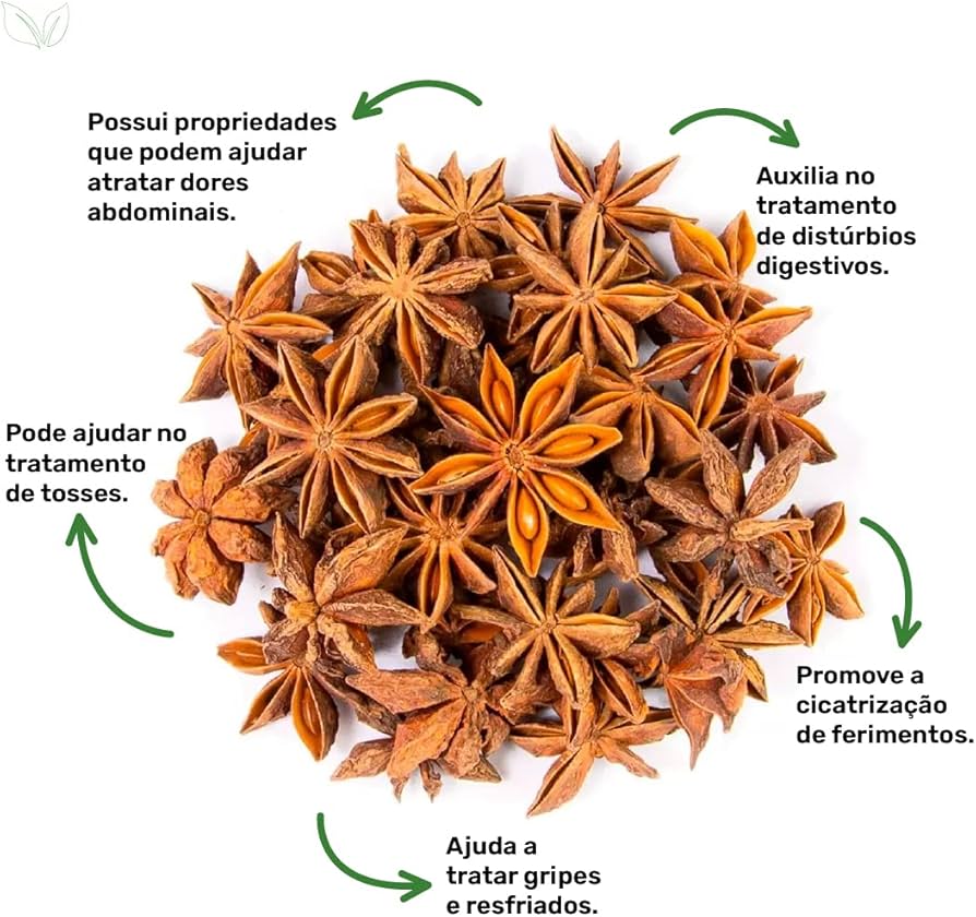 anis estrelado propriedades medicinais