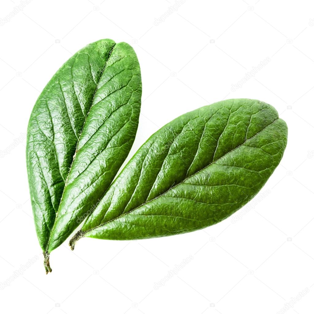 benefícios da acerola para a saúde