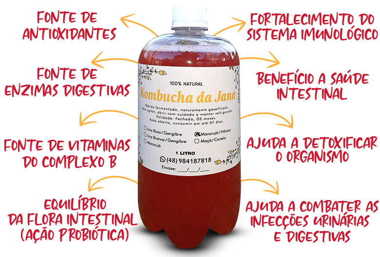 probióticos kombucha