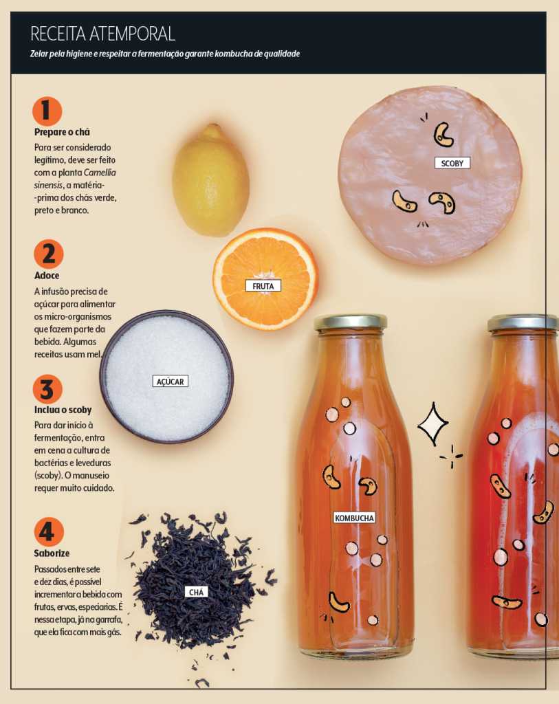 saúde intestinal kombucha