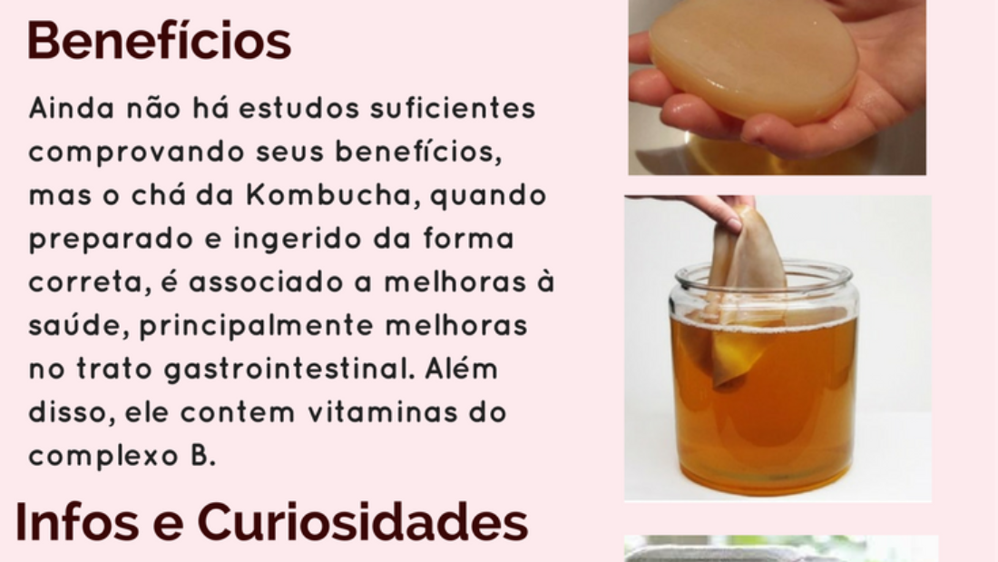 fermentado kombucha